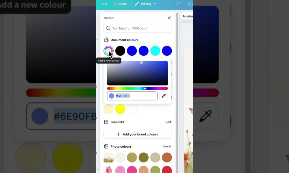 🚨 No Colour Picker in Canva? Here’s the Fix! 🎨🔥 - Foco Digital